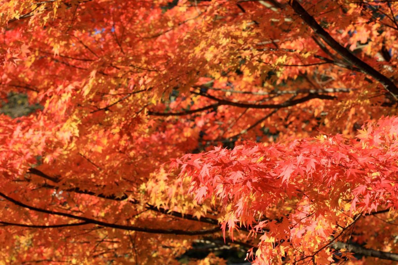 Twin-Line Hotel Karuizawa Japan Exterior foto